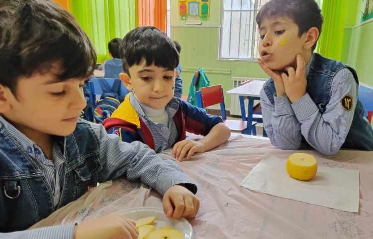 هفته ی علوم میوه های خشک 2