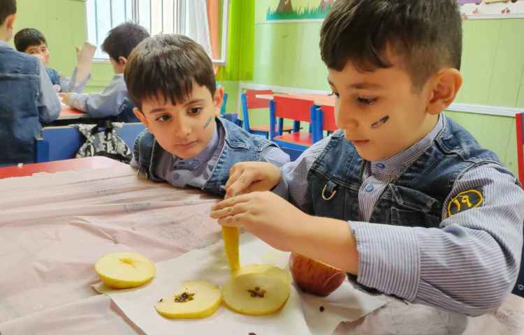 هفته ی علوم میوه های خشک 3