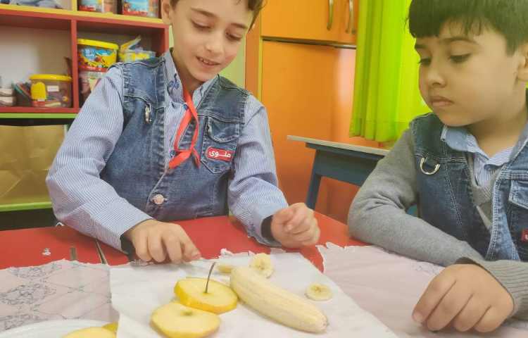 هفته ی علوم میوه های خشک 5