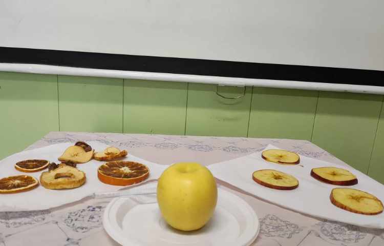 هفته ی علوم میوه های خشک 6