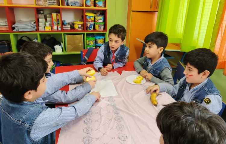 هفته ی علوم میوه های خشک