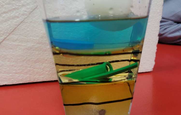 هفته ی علوم پروژه ی ستون مایعات 5