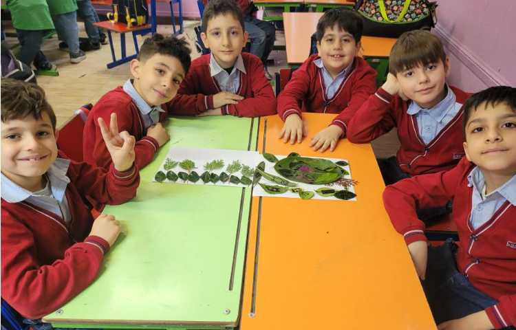 هفته ی ملی علوم برگ و خلاقیت 1