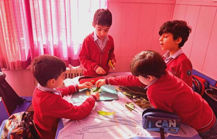 هفته ی ملی علوم برگ و خلاقیت 4