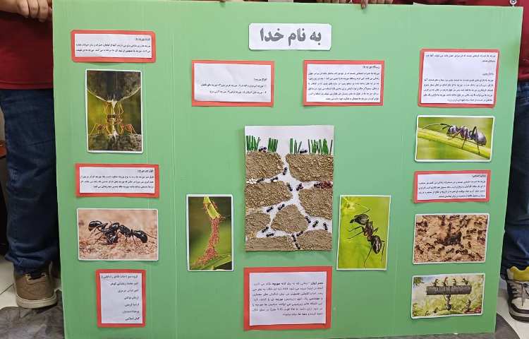 هفته ی ملی علوم- تکمیل پوستر چهار گروه 4