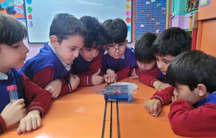 هفته ی ملی علوم علوم پروژه گوی جادویی 1