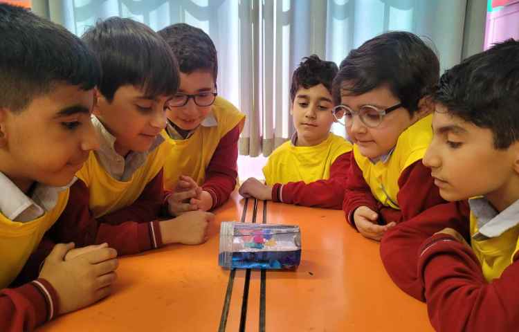 هفته ی ملی علوم علوم پروژه گوی جادویی 4