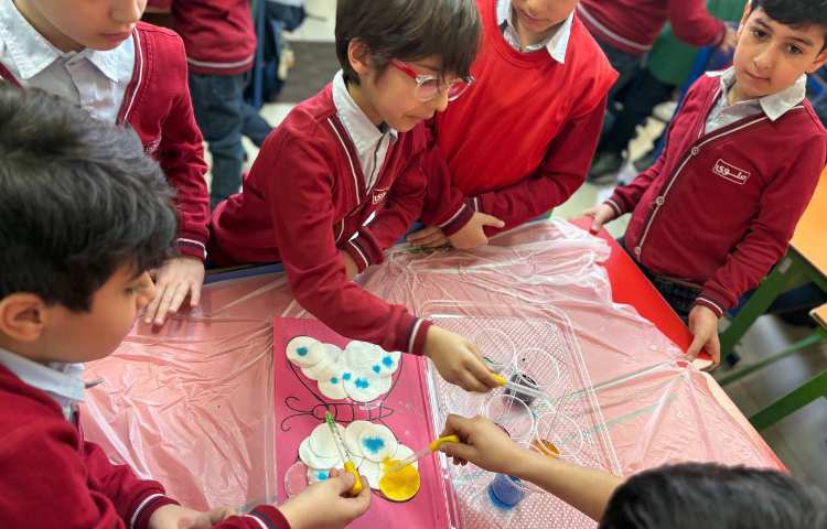 هفته ی ملی علوم پروژه برگ جادویی و قطره رنگی 4