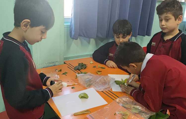 هفته ی ملی علوم پروژه ی برگ و خلاقیت 1