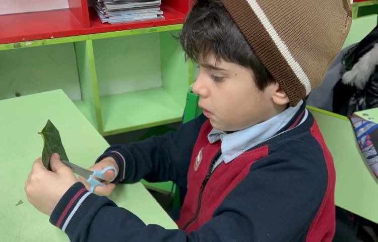 هفته ی ملی علوم پروژه ی برگ و خلاقیت 4