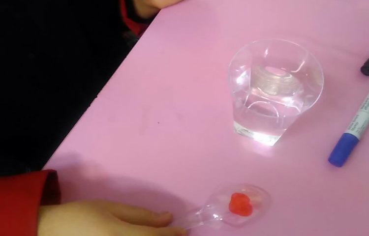 هفته ی ملی علوم 2