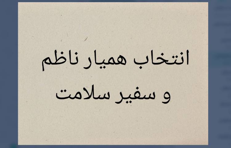 همیاران ناظم