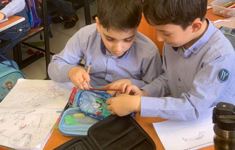 هنر-دانش اموزان کنفرانس درباره دایناسور ها دادند و نقاشی با موضوع دایناسور کشیده شد 3