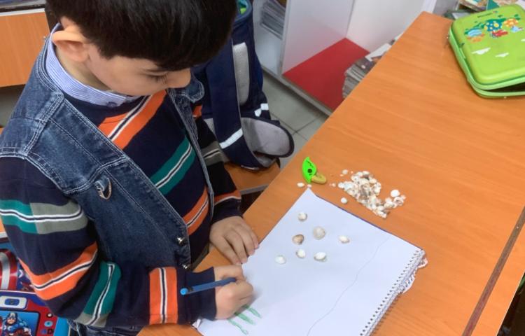 هنر-کلاژ با صدف و ماسه 1