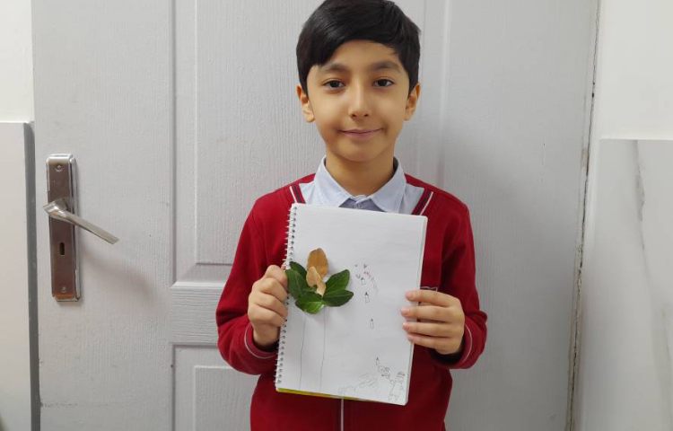 هنر- طراحی کاراکتر و کولاژ با استفاده از برگ 1