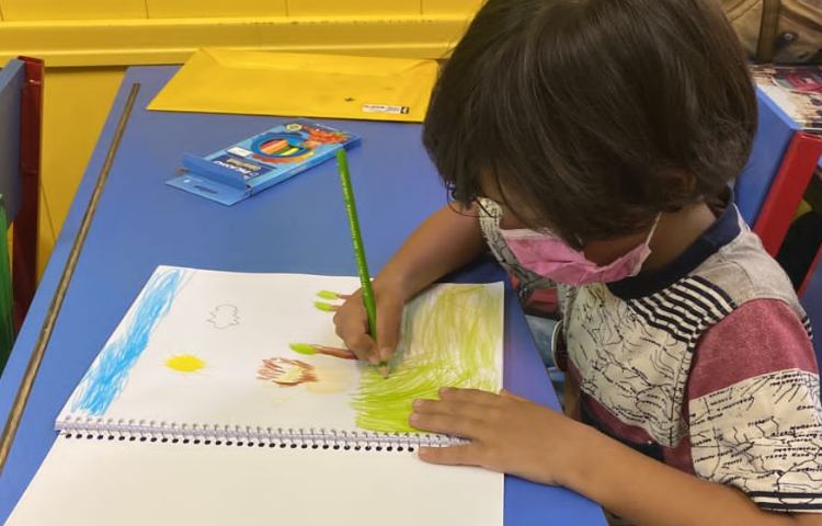 :هنر و خلاقیت، آموزش حیوان شیر، کلاس پرتقال 5