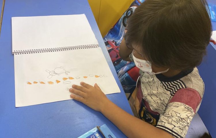 :هنر و خلاقیت، آموزش خرگوش و مزرعه، کلاس پرتقال 5