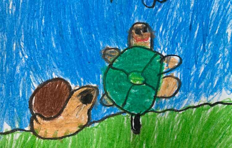 :هنر و خلاقیت، رسم لاکپشت و حلزون با دایره 1