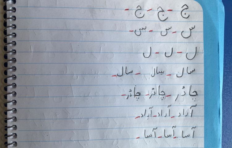 :هنر و خلاقیت، زیبا نویسی و رنگ آمیزی روی تخم مرغ 2