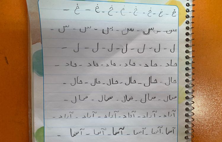 :هنر و خلاقیت، زیبا نویسی و رنگ آمیزی روی تخم مرغ 4