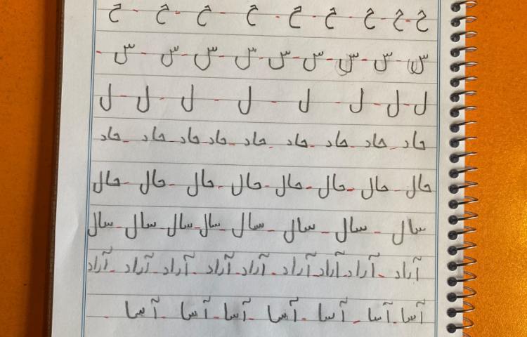 :هنر و خلاقیت، زیبا نویسی و رنگ آمیزی روی تخم مرغ 5