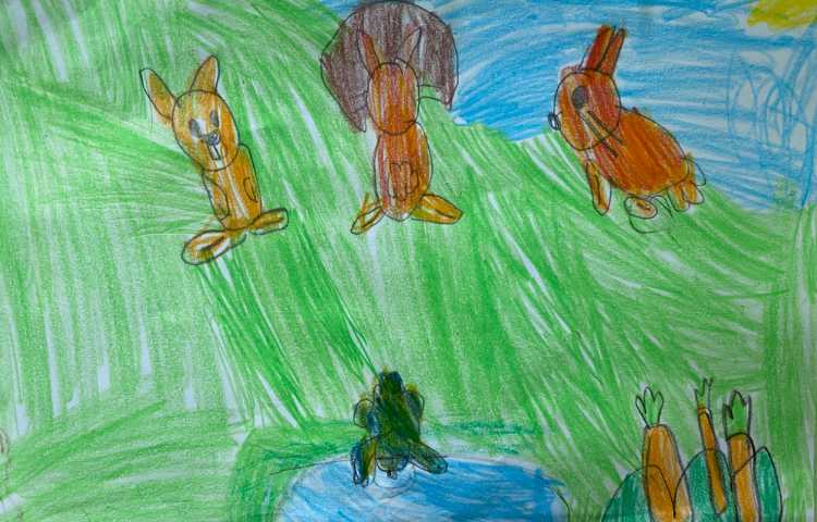 :هنر و خلاقیت، نقاشی خرگوش، پایه اول 11