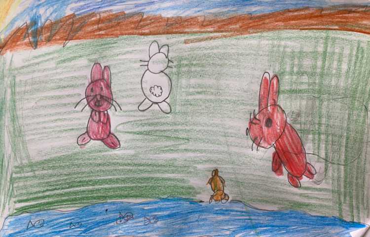 :هنر و خلاقیت، نقاشی خرگوش، پایه اول 12