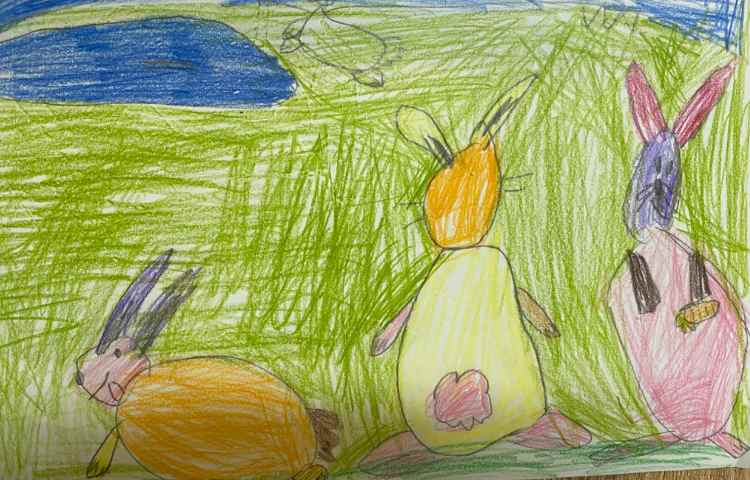 :هنر و خلاقیت، نقاشی خرگوش، پایه اول 3