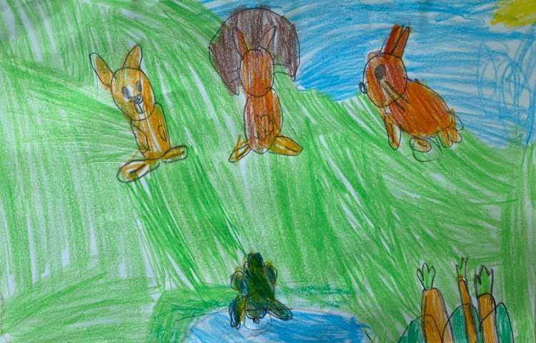 :هنر و خلاقیت، نقاشی خرگوش، پایه اول 4