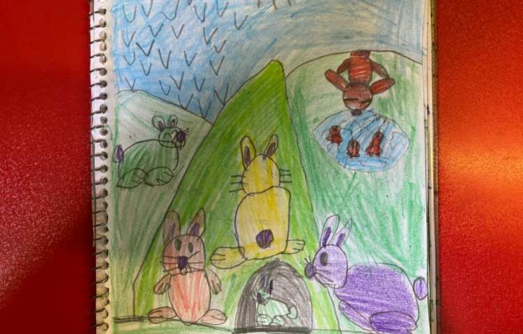 :هنر و خلاقیت، نقاشی خرگوش، پایه اول 8