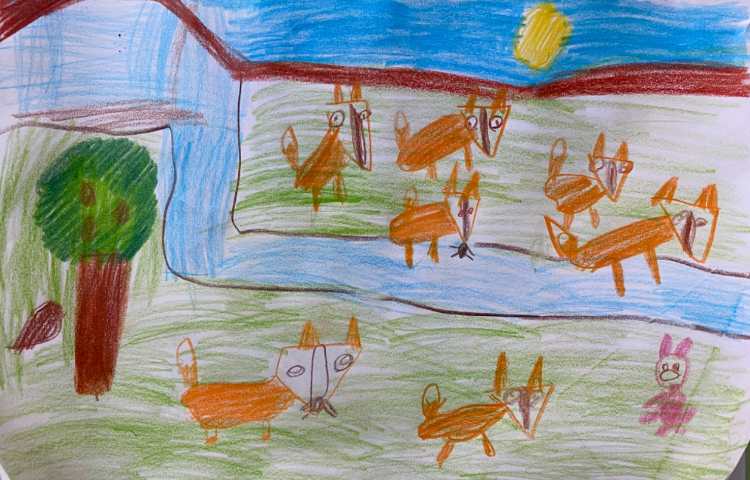 :هنر و خلاقیت، نقاشی روباه و جنگل، پایه اول 1