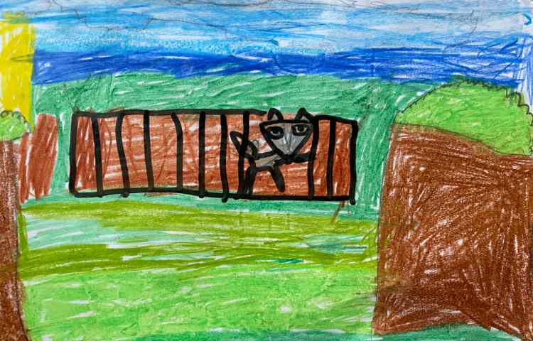 :هنر و خلاقیت، نقاشی روباه و جنگل، پایه اول 4