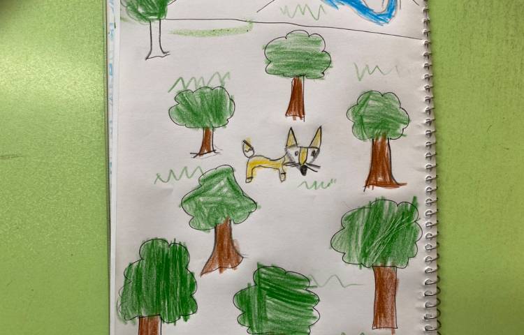 :هنر و خلاقیت، نقاشی روباه و جنگل، پایه اول 5