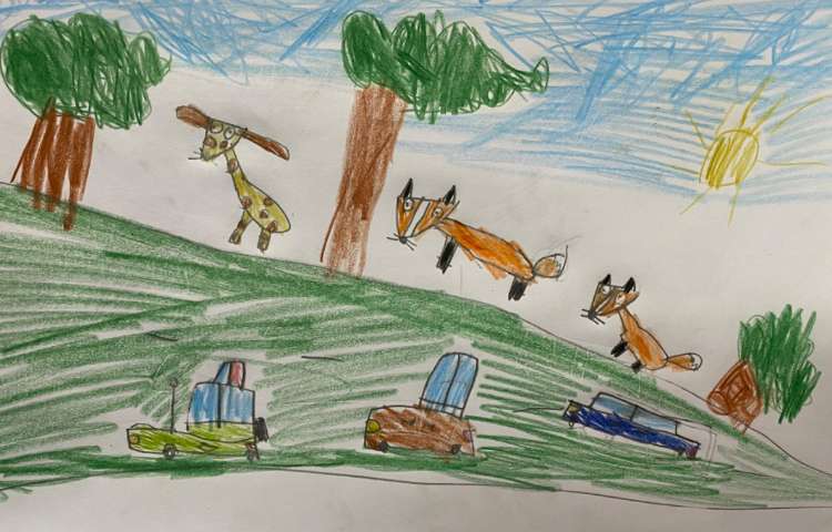:هنر و خلاقیت، نقاشی روباه و جنگل، پایه اول 7