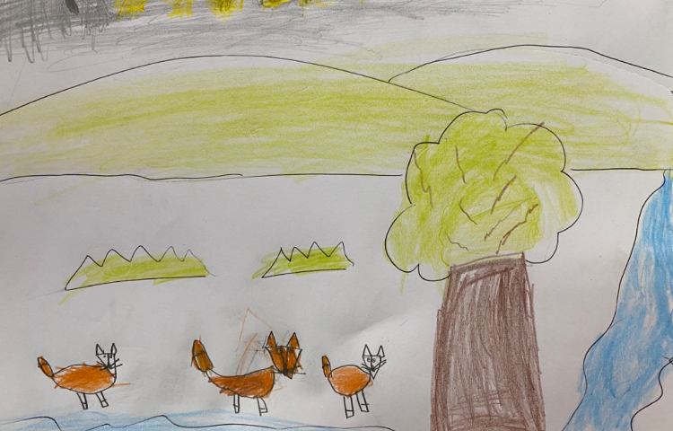 :هنر و خلاقیت، نقاشی روباه و جنگل، پایه اول 8