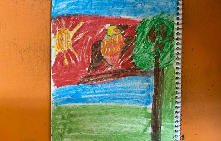 :هنر و خلاقیت، پایه اول 1