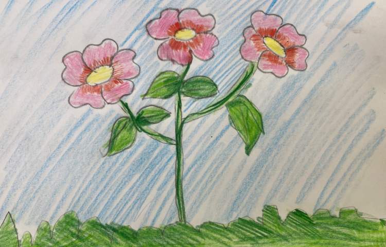 :هنر و خلاقیت، پایه سوم 3