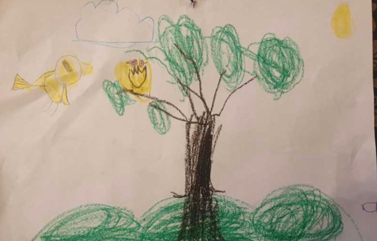 :هنر و خلاقیت، پایه پیش دبستان 1