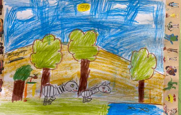 :هنر و خلاقیت، گورخر و ترکیب بندی از زمینه 9