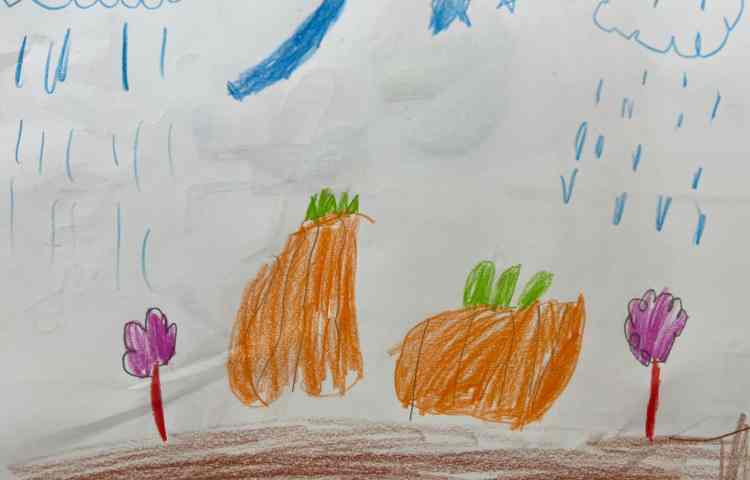 هنر و خلاقیت 1