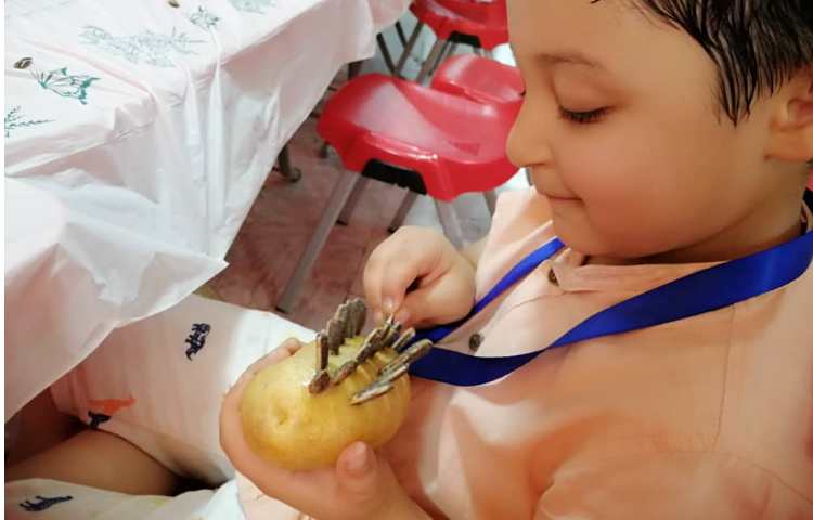 هنر پیش‌دبستانی2 7