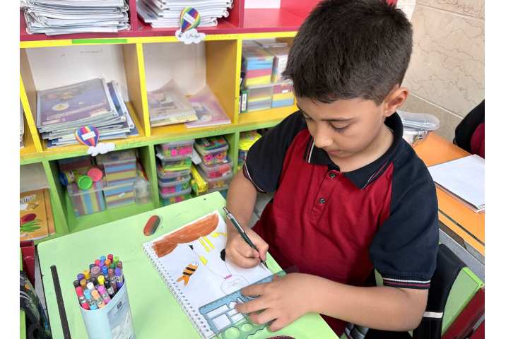 هنر 6