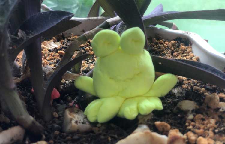 هوش : رنگ آبی و زرد ترکیب و رنگ سبز درست شد و بعد با خمیر قورباغه درست کردیم. 2