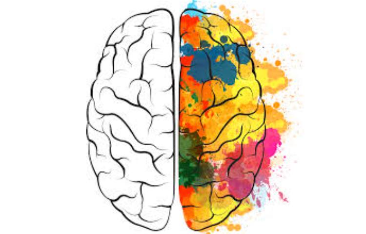 هوش و استعداد تحلیلی