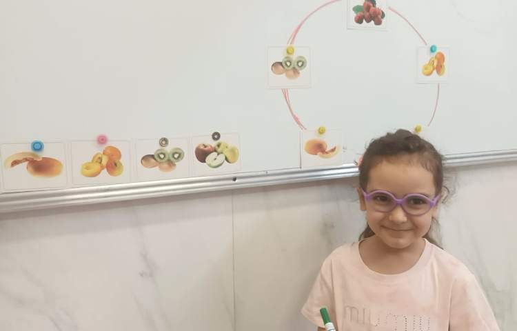 هوش و خلاقیت 4