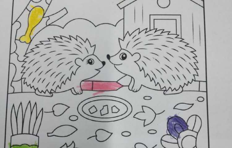 هوش و ریاضی