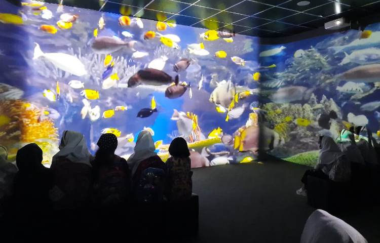 هیومن پارک 1