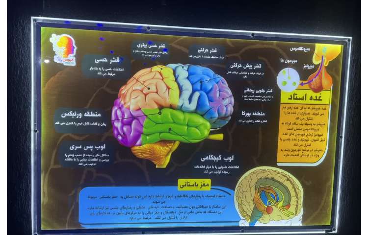 هیومن پارک 12