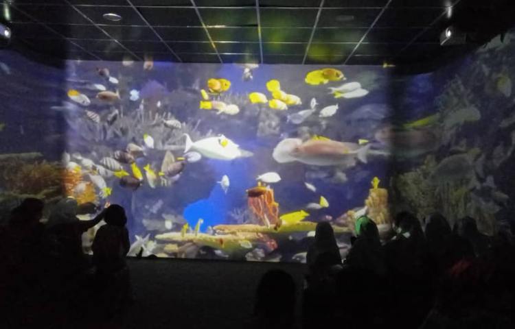 هیومن پارک 2