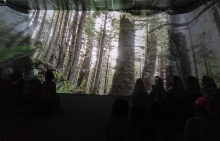 هیومن پارک 3